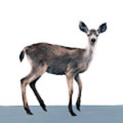 Deer On Slate Blue Poster