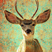 Deers Ears Poster