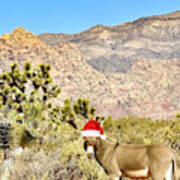 Desert Donkey - Christmas Edition Poster