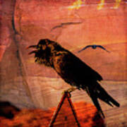 Desert Raven Poster