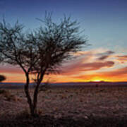 Desert Sunset Poster