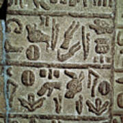 Detail Of Hieroglyphic Inscription Poster