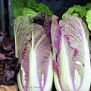 Display Of Lettuces Poster
