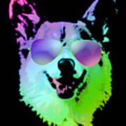 DJ Corgi With Sunglasses Poster