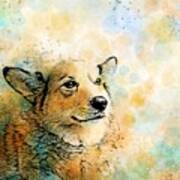 Dog 143 Corgi Poster