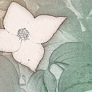 Dogwood Flower Stencil On Sandstone Poster