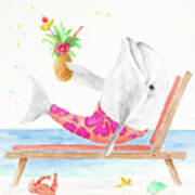 Dolphin Relaxing By The Sea Poster