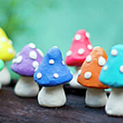 Doug Modeling Colorful Mushrooms Poster