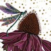 Dragon Fly And Echinacea Flower Poster