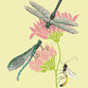 Dragonflies And Insect On Flowers Poster