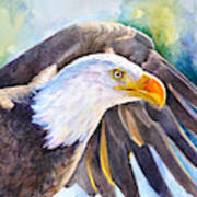 Eagle Poster