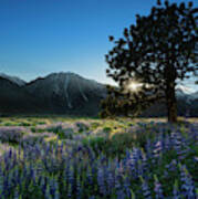 Eastern Sierra Sunset Poster