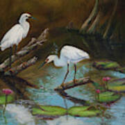 Two Egrets--missed Again Poster