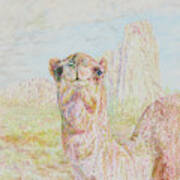 El Morro Camel Poster