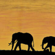 Elephants - At - Sunset Poster