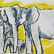 Elephants Poster