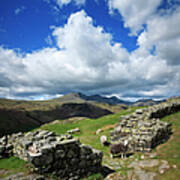 English Lake District Landscape With Poster