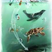 Environmental Impact Of Plastics Pollution Poster