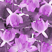 Ethereal Purple Lotus Flower - Tropical, Botanical Art - Purple Water Lily - Lotus Pattern - Violet Poster
