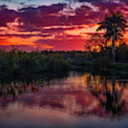 Everglade Sunrise Poster