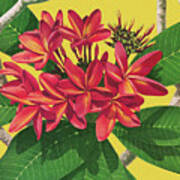 Exotic Flower Poster