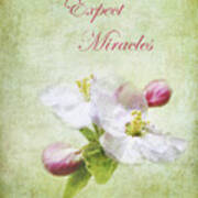 Expect Miracles Poster