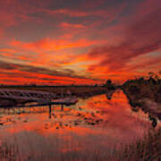 Explosive Sunset At Pine Glades Poster