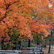 Fall Colors Split Rail Fence Poster