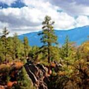 Fall Day In Van Dusen Canyon Poster