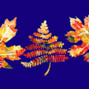 Fall Leaves Watercolor Silhouettes Oak Maple Fern Poster
