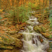 Fall Mountain Stream, Painterly Poster