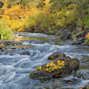 Fall On The Yuba Poster