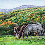 Fall Ranch Grazing Horses Poster