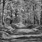 Fayette County Old Country Road Black And White Poster