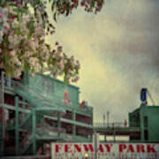 Fenway Park Spring Poster