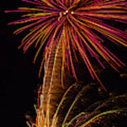 Fireworks Palm Tree Poster