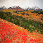 First Fall Snow On Timpanogos Poster