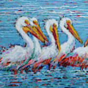 Flock Of White Pelicans Poster