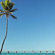 Florida Keys Landscape Poster