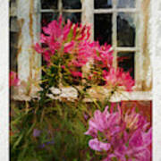 Flower By The Window Poster