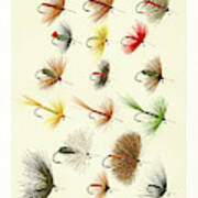 Fly Fishing Lures 1 Poster