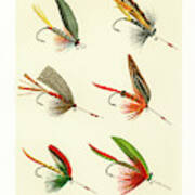 Fly Fishing Lures 7 Poster