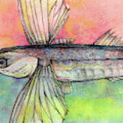 Flying Fish From Barbados Poster
