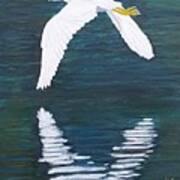 Flying Snowy Egret Poster