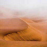 Foggy Namib Desert Poster