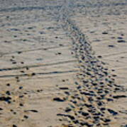 Footprints In The Sand Poster