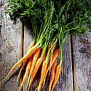 Fresh Carrots On Rustic Wood Poster