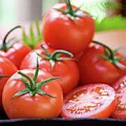 Fresh Organic Tomatoes Poster
