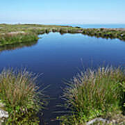 Freshwater Pool On Lundy Island Poster