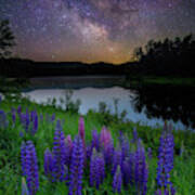 Galactic Lupines Poster